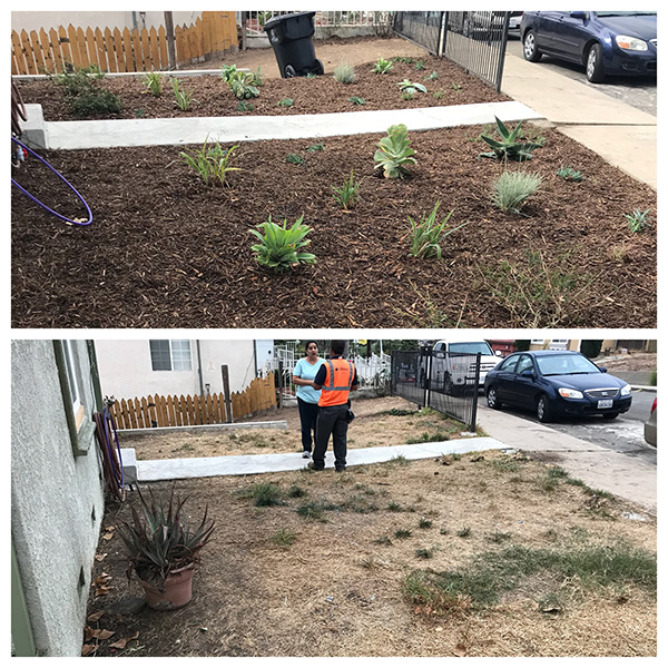 San Diego Community Project | Before & After | LaBahn's Landscaping