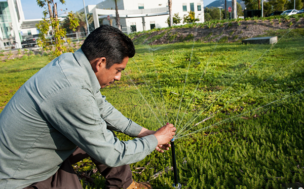 irrigation-rebates-san-diego-labahn-s-landscaping