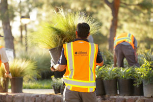 Choosing a Trusted Landscaper | LaBahn's Landscaping, San Diego, CA