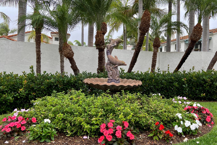 Bel Azure Hoa Flowers Fountain Landscape