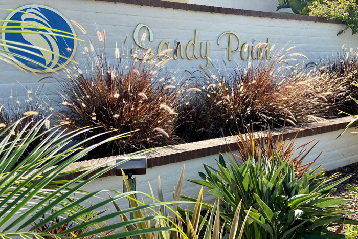 Sandy Point Encinitas Hoa Landscape