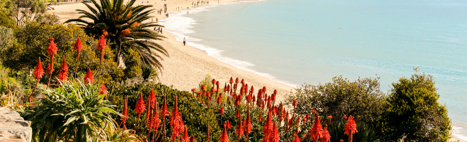 Landscape Maintenance in Laguna Hills, CA